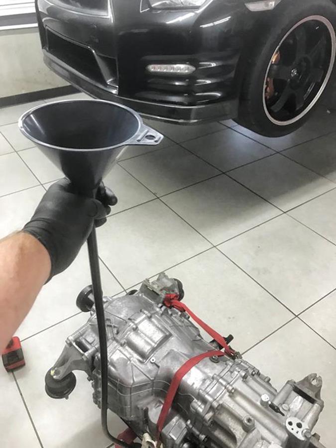381.JPG